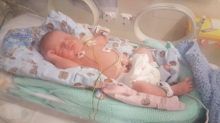 20180311 063802 resized 20210125 101206414