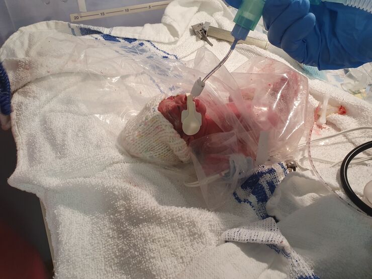 20200913 174944 resized 1 1