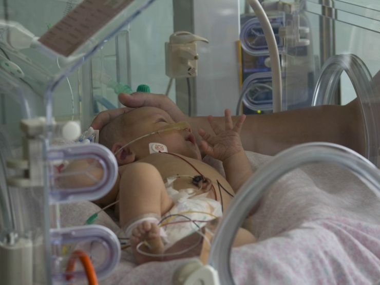 Baby in an incubator with their parent gently cupping the top of their head