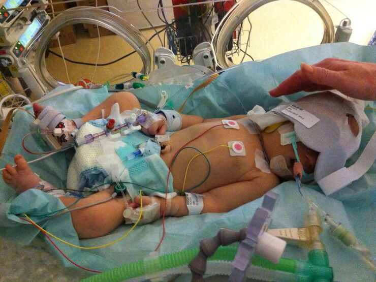 Charlotte's Story Hero