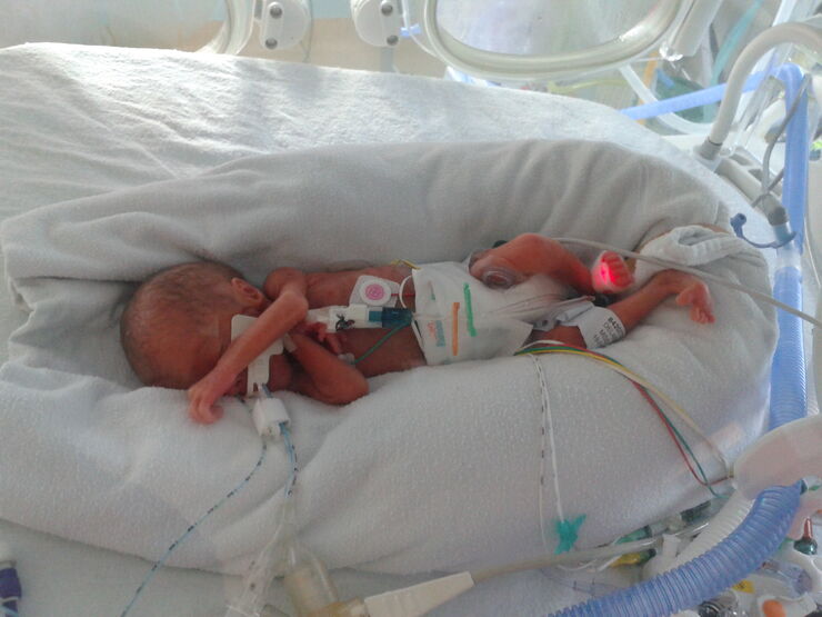 Lauren And Alexa's Story Hero