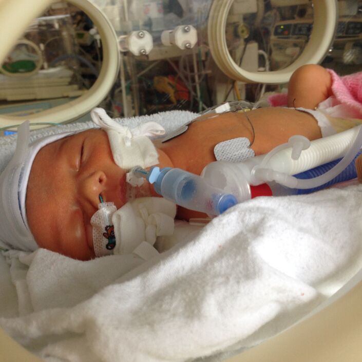 Leila, Barry And Lilac's Story Hero