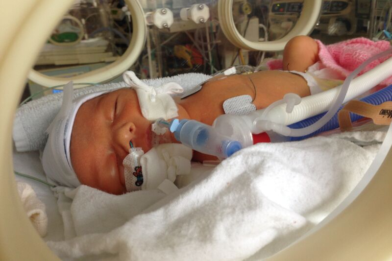 Leila, Barry And Lilac's Story Hero