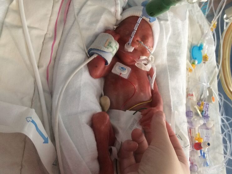 Maxine And Lydia�S Story Hero