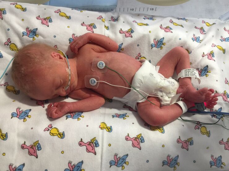 Natasha's Story Hero