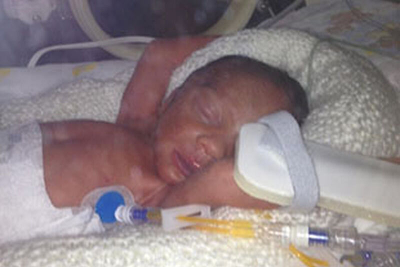 Shiloh�S Story Hero