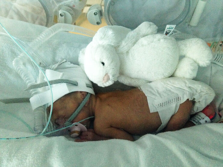 Nancy The Size Of A Teddy Edit