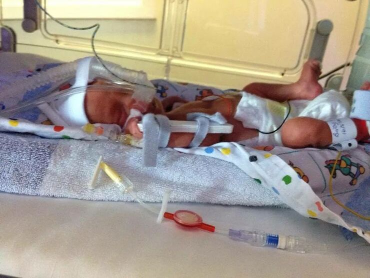 Alex And Bradley Hero