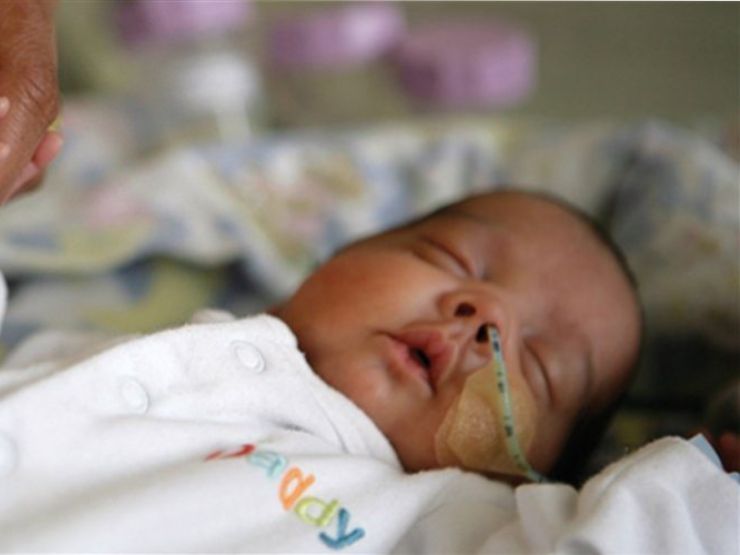 Adult holding hand of premature baby in neonatal care