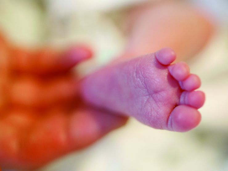 Baby's foot in focus being held by a hand which is blurred in the background