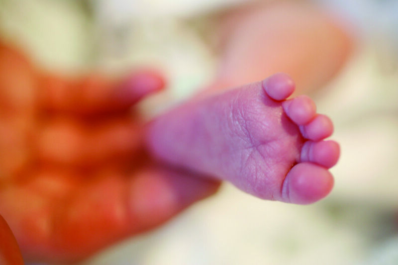 Baby's foot in focus being held by a hand which is blurred in the background