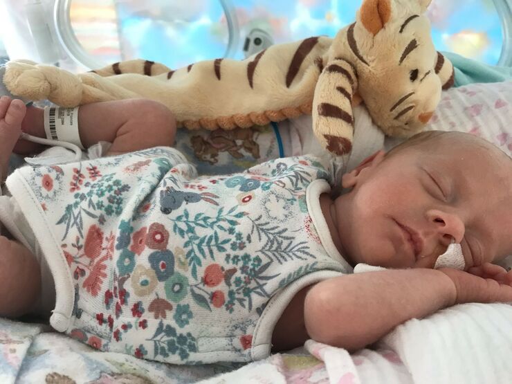 Baby wearing flowery baby vest in incubator asleep with a tiger soft toy