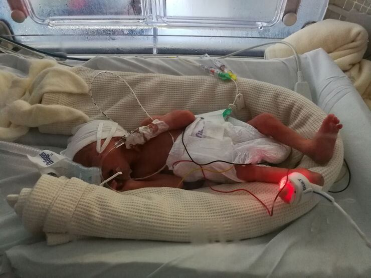 IMG 20180928 123652 resized 20191022 102259725