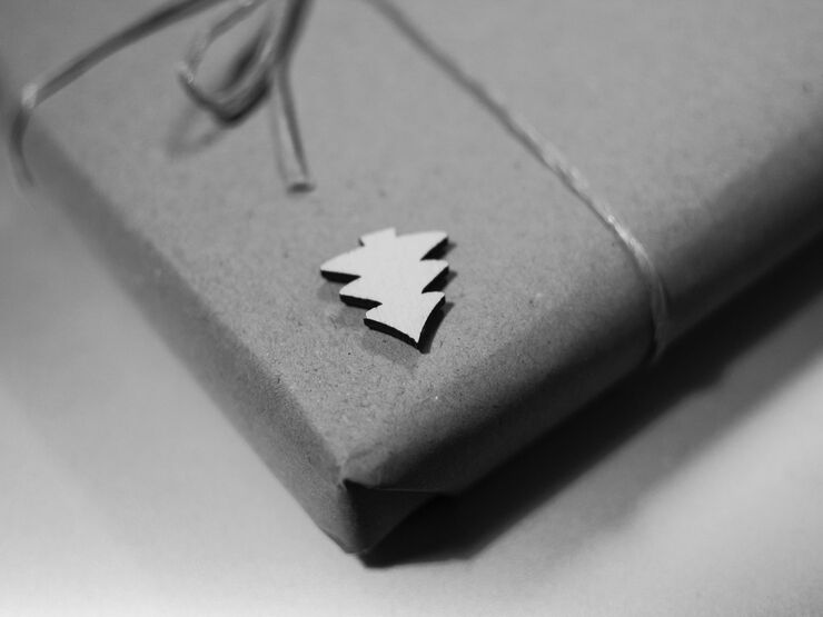 Hero Image Lemara Jones