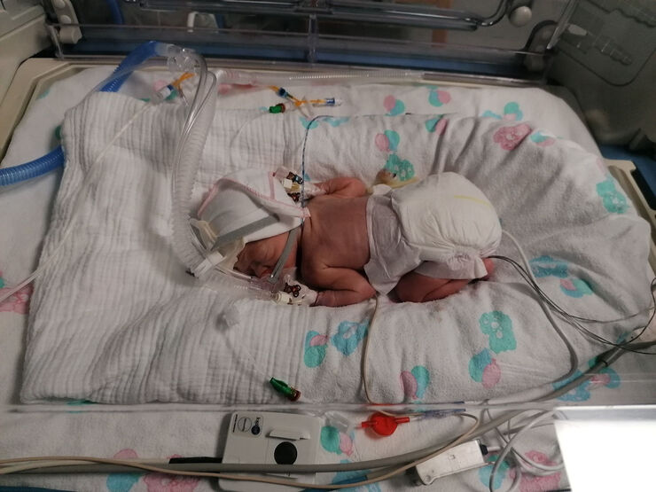 Week1 Justborn