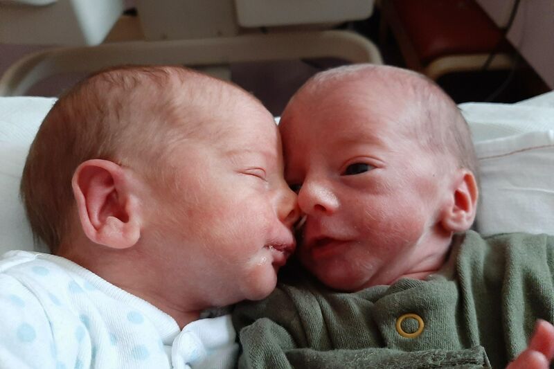 Elijah and Miles cuddle homw