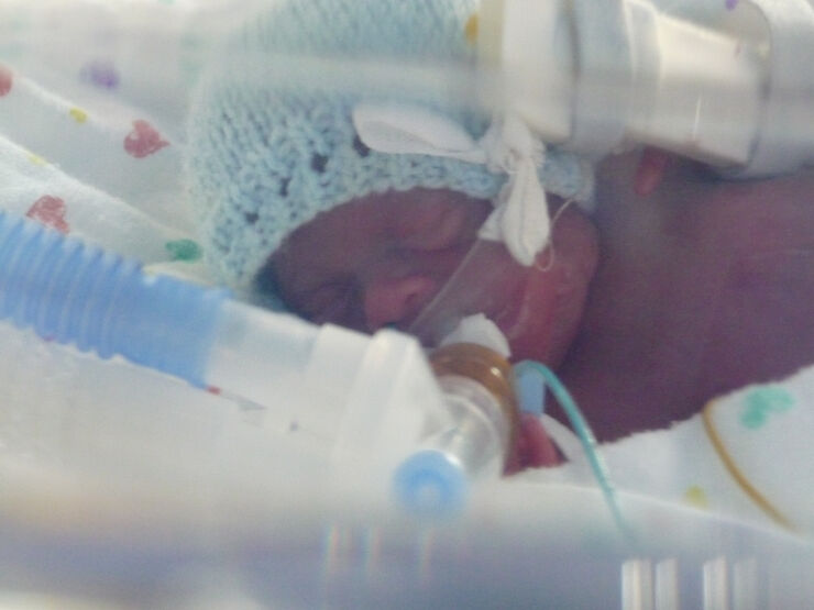 Harry 0 Days Old