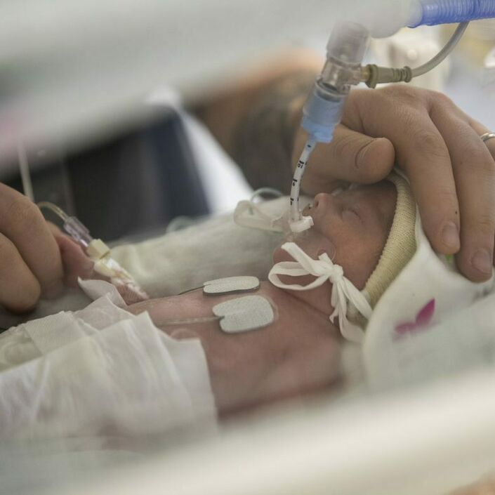 A baby lying in an incubator, receiving oxygen through a tube. One of its parent's hands is resting on its head, the other is holding its hand.