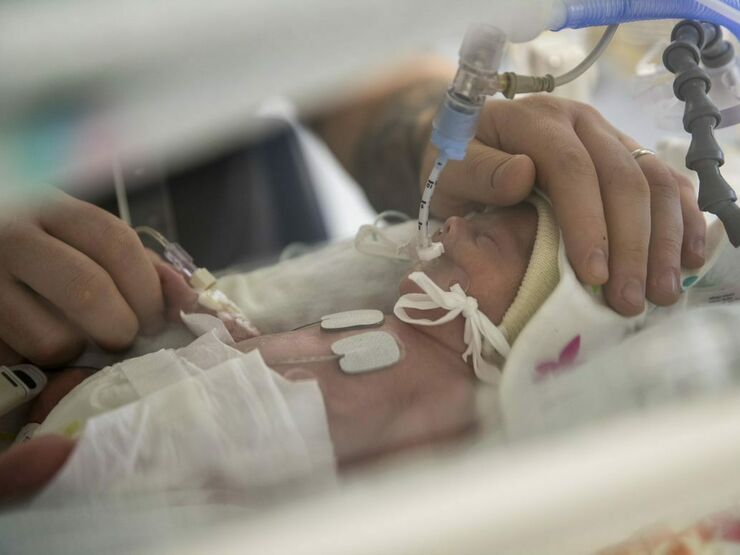 A baby lying in an incubator, receiving oxygen through a tube. One of its parent's hands is resting on its head, the other is holding its hand.