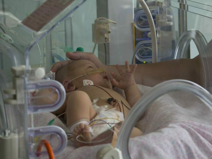 Baby in an incubator with their parent gently cupping the top of their head