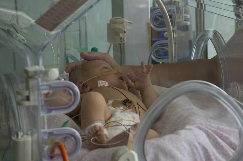 Baby in an incubator with their parent gently cupping the top of their head