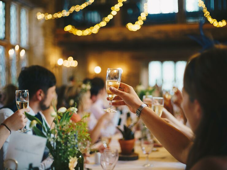 People sat at a wedding dinner toasting to the bride and groom