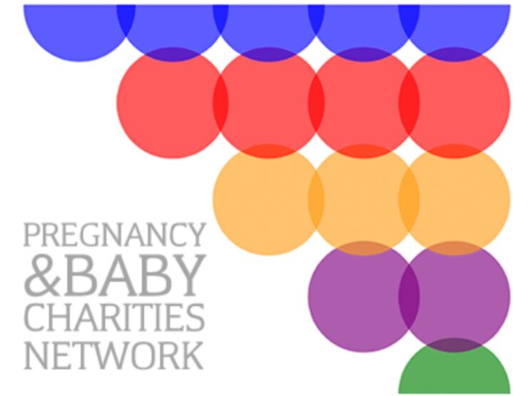 Pregnancy and Baby Charities Network logo