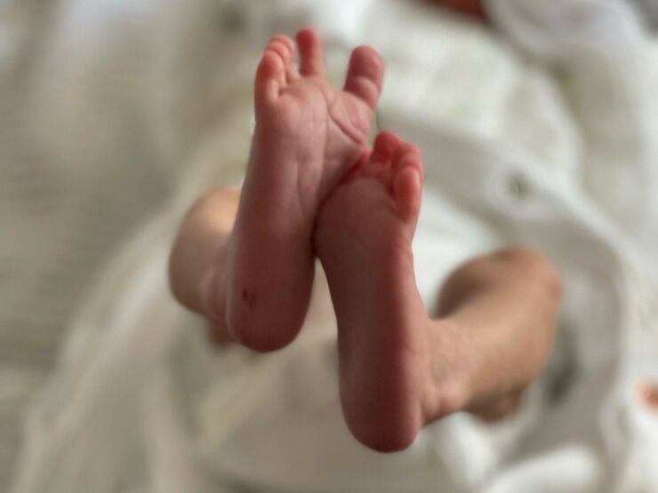 Dally's babies feet