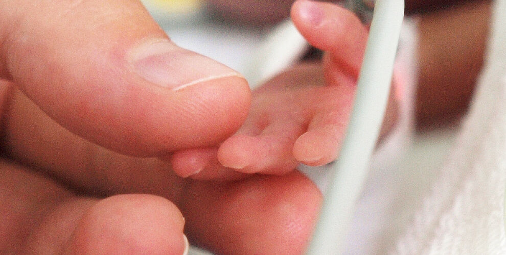 Parent and baby hand 2 1216414075