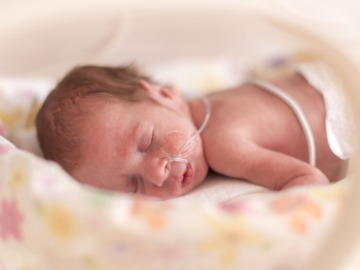 Premature newborn baby girl 517612838