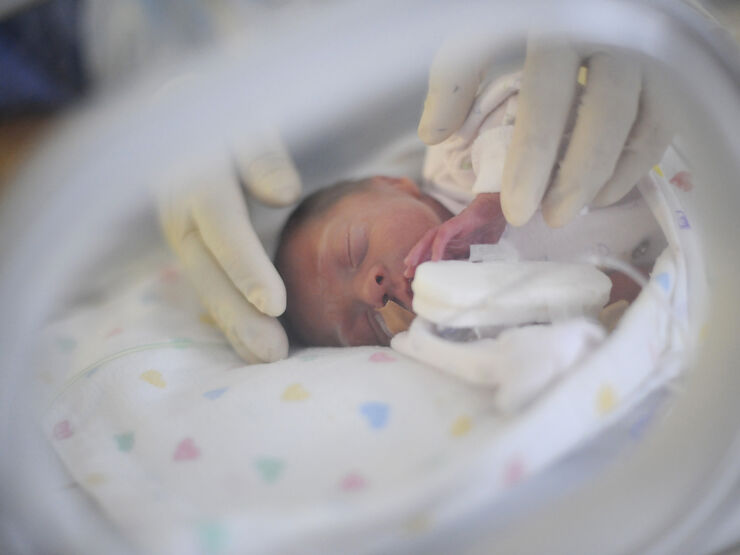 A baby in an incubator being gently touched by hands with latex gloves on
