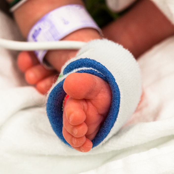 Baby feet in incubator 904894968 1