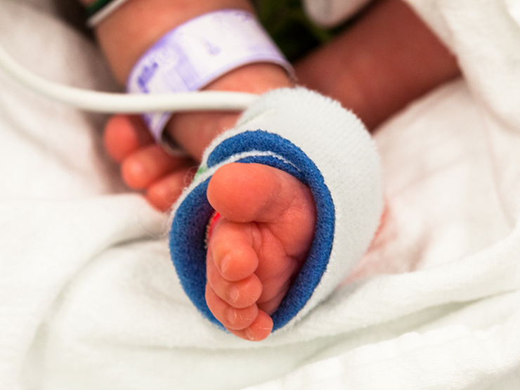 Baby feet in incubator 904894968 1