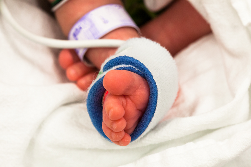 Baby feet in incubator 904894968 1