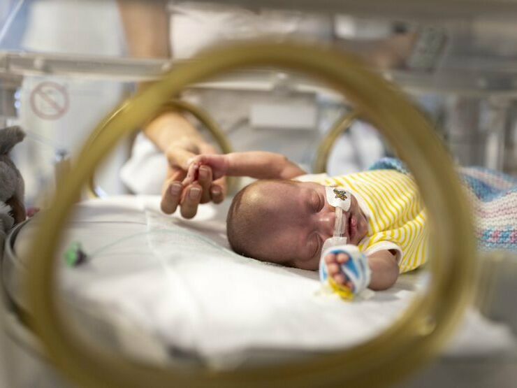 7fd709e7 775e 42d2 a018 26a813a2a6c6