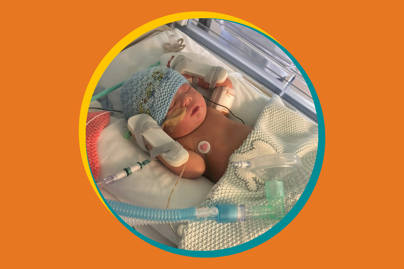 Full Term Feb Hero image 2026 1