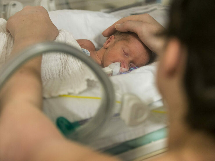 Premature baby in incubator with dad putting his hands in and gently touching baby's head