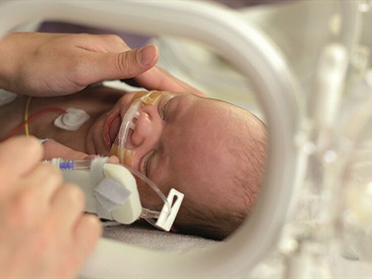 Baby in incubator with an adult's hand touching the baby's face