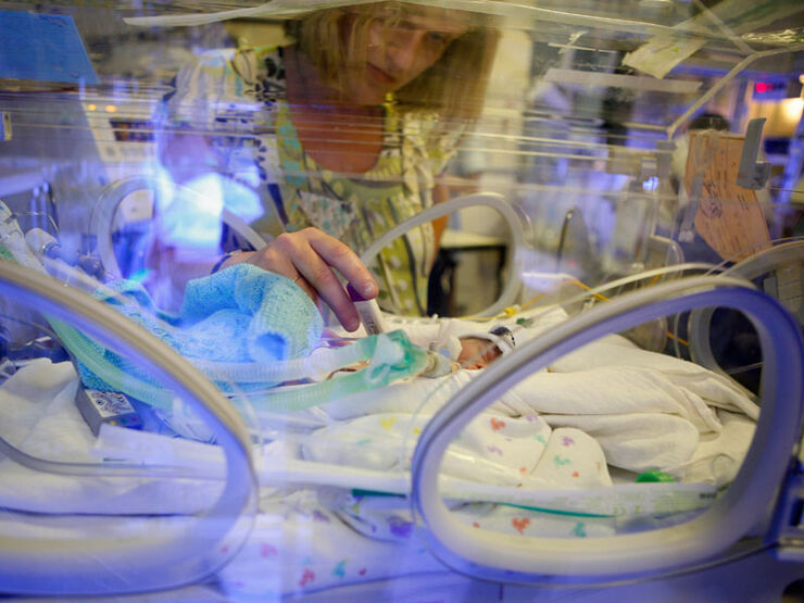 Mum holding hands with baby in incubator