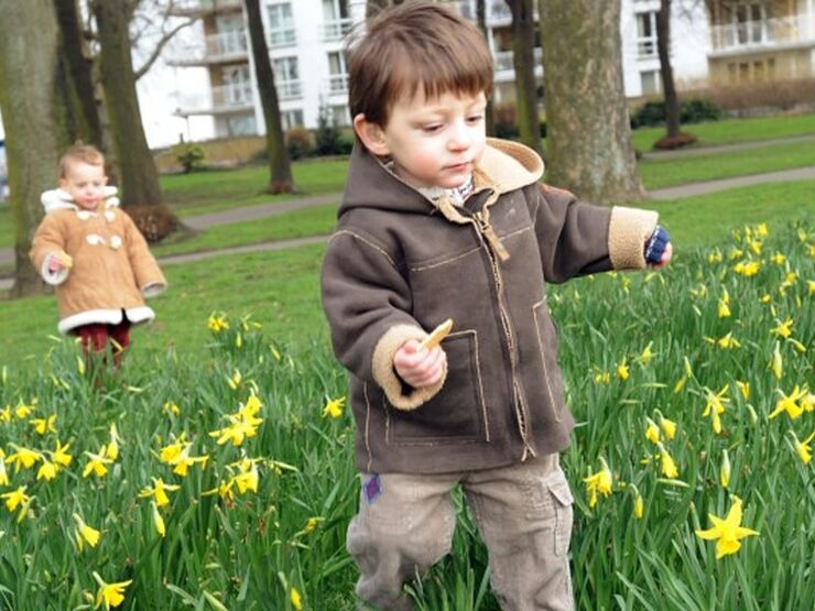 Little boy in foreground and little girl in background about the age of toddler running through daffodils in a park