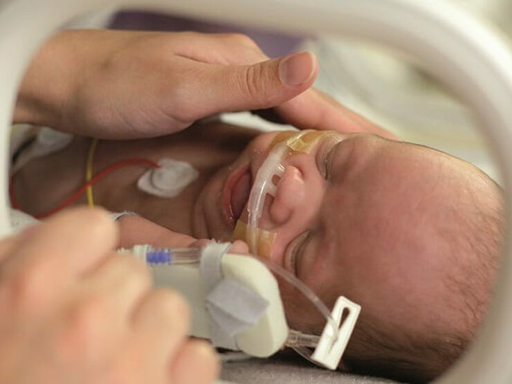 Parent comforting sleeping baby attached to tubes in incubator