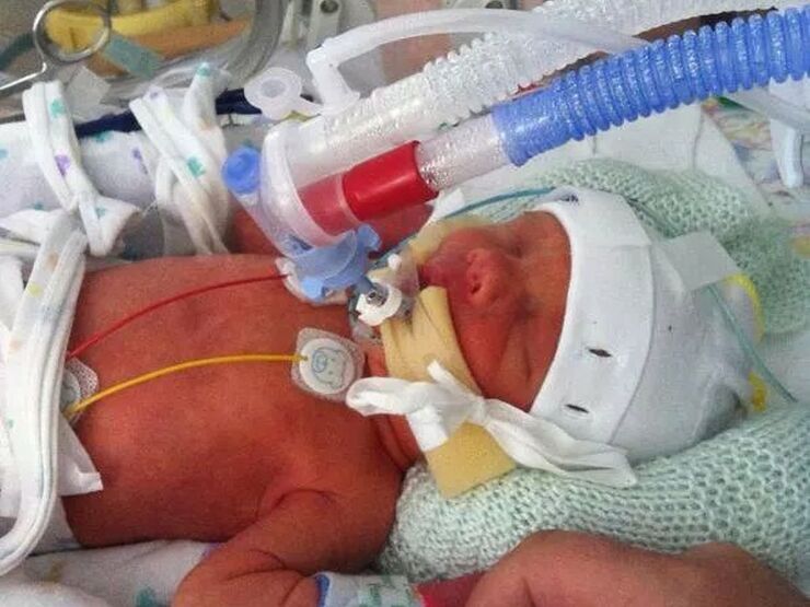 Kelly And Alfie's Story Hero