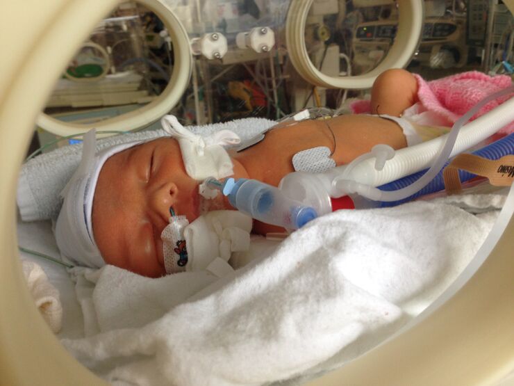 Leila, Barry And Lilac's Story Hero