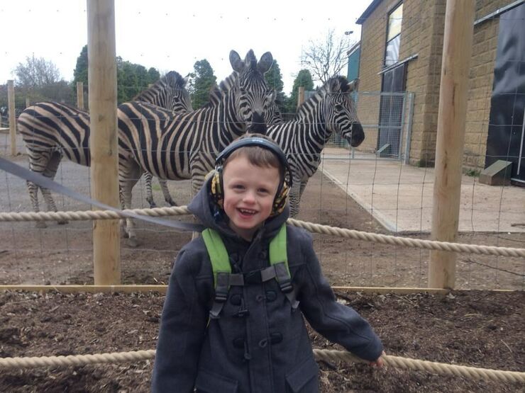 An Older Oliver Visiting A Zoo