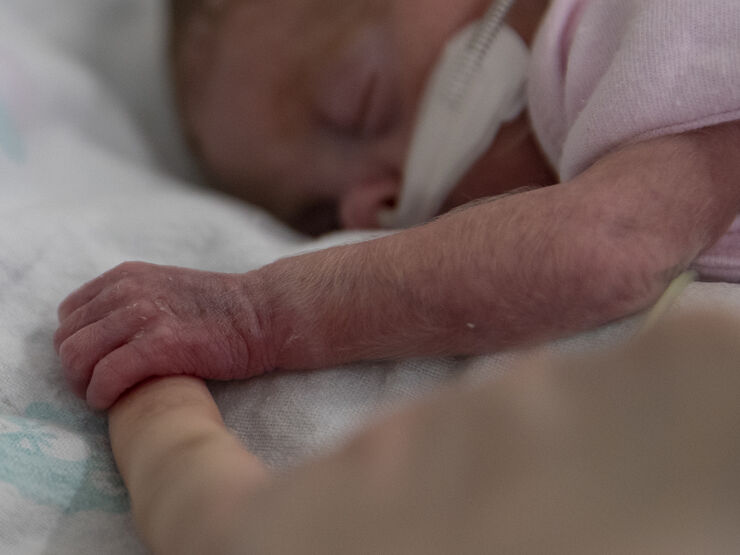 Baby lying on front asleep holding the finger of an adult