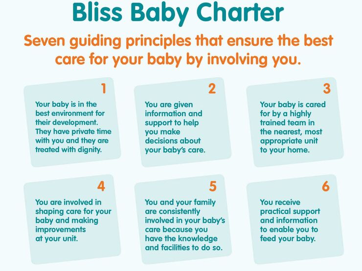 Bliss Baby Charter Poster