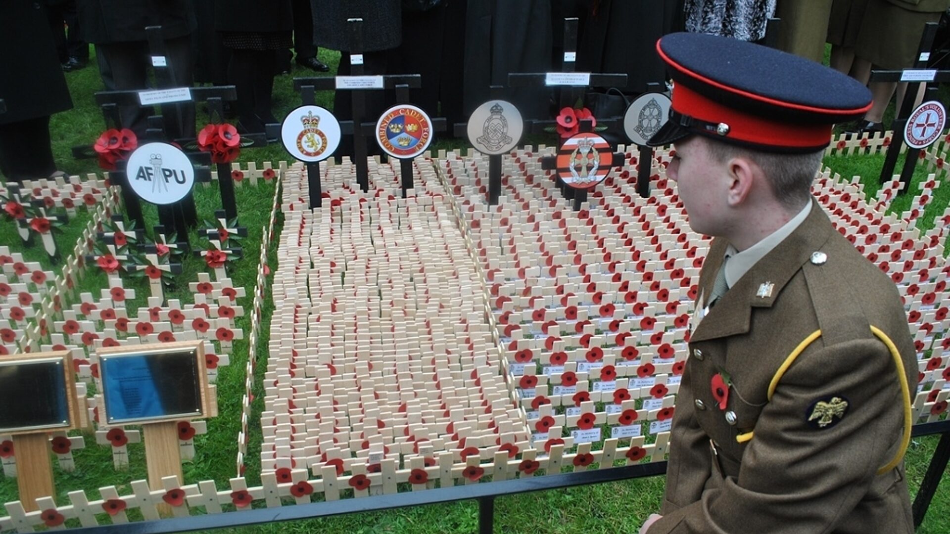 ACF cadet at Field of Remembrance 1