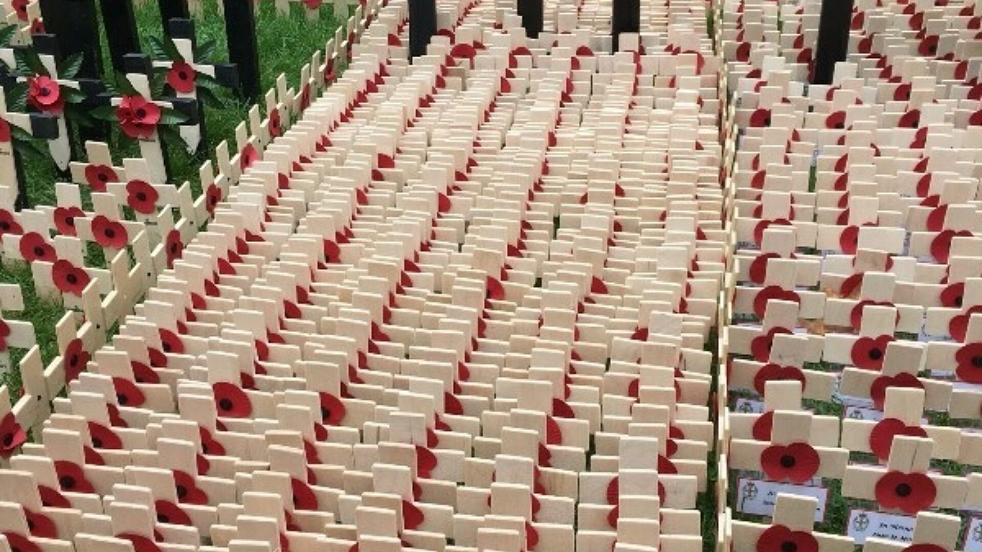 CCF Field of Remembrance 1