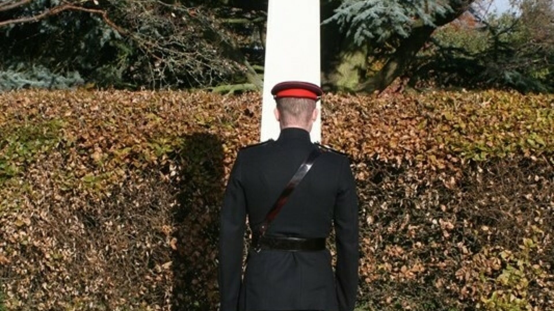 IMG 0734 1