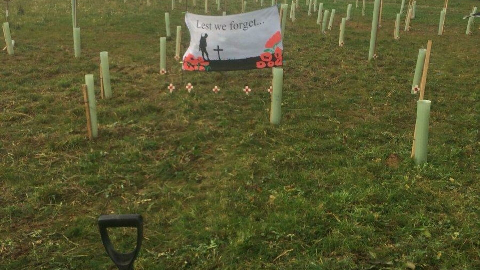 Tree planting 1